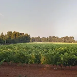 https://appartement-2-pieces-climatise-100m-plage-parking-fr.fr-provencehotel.com